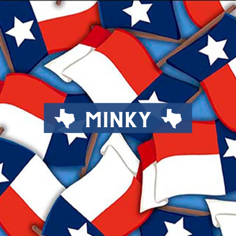 2024 All Texas Shop Hop Minky / Texas State Flag