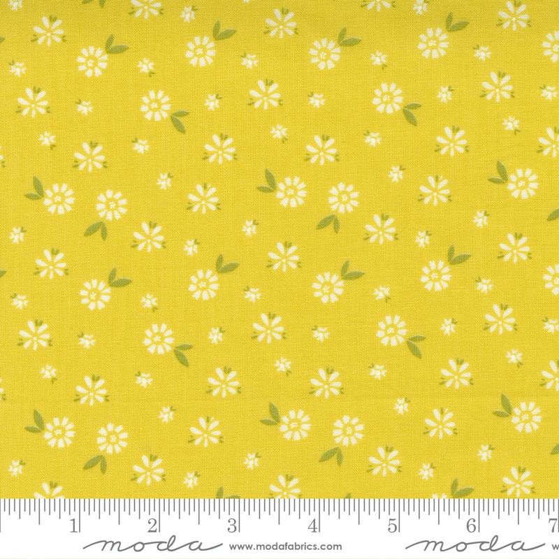 CLEARANCE – Seashore Drive – Small Floral537622-12 – Citrine