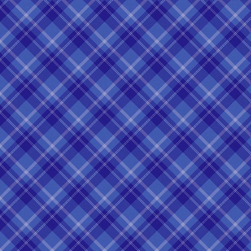 Playful Plaids Plum