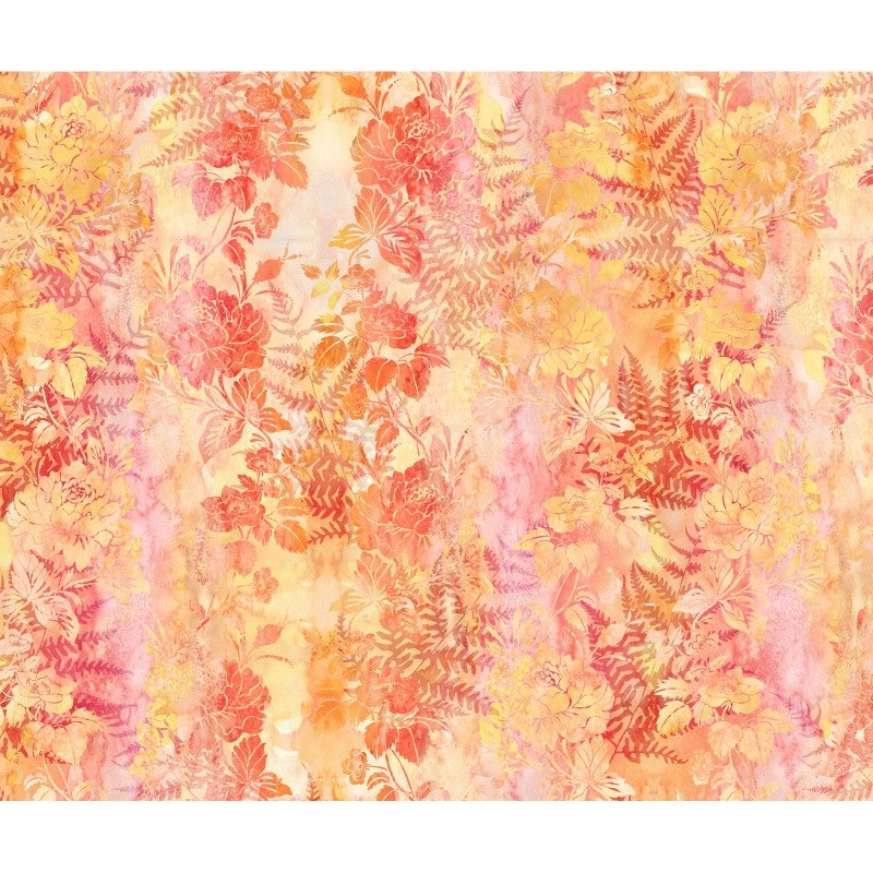 Garden of Dreams Apricot – (1)