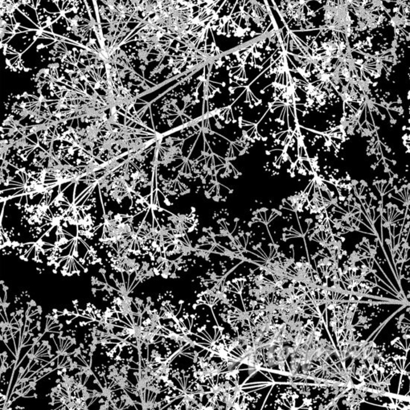 Sparkle and Fade Black – (3)