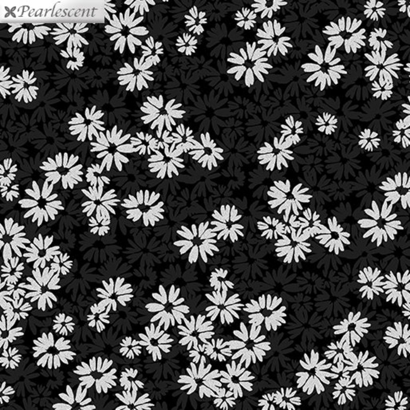 Shimmer & Shine Black – (5)