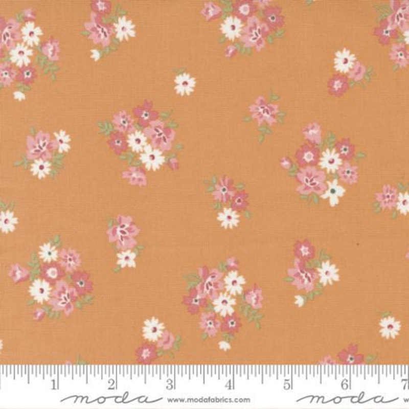 Sunnyside – 55288-18 – Fresh Cuts Apricot