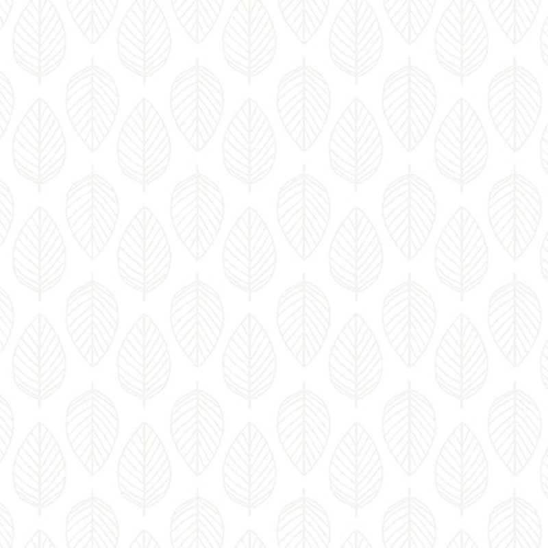 Essentials White – (6)