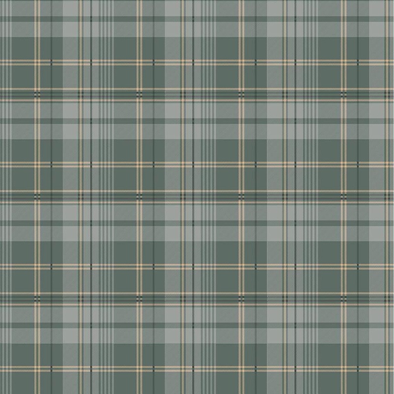 Winter Wonderland  –  CD3702 Tartan Plaids – Green