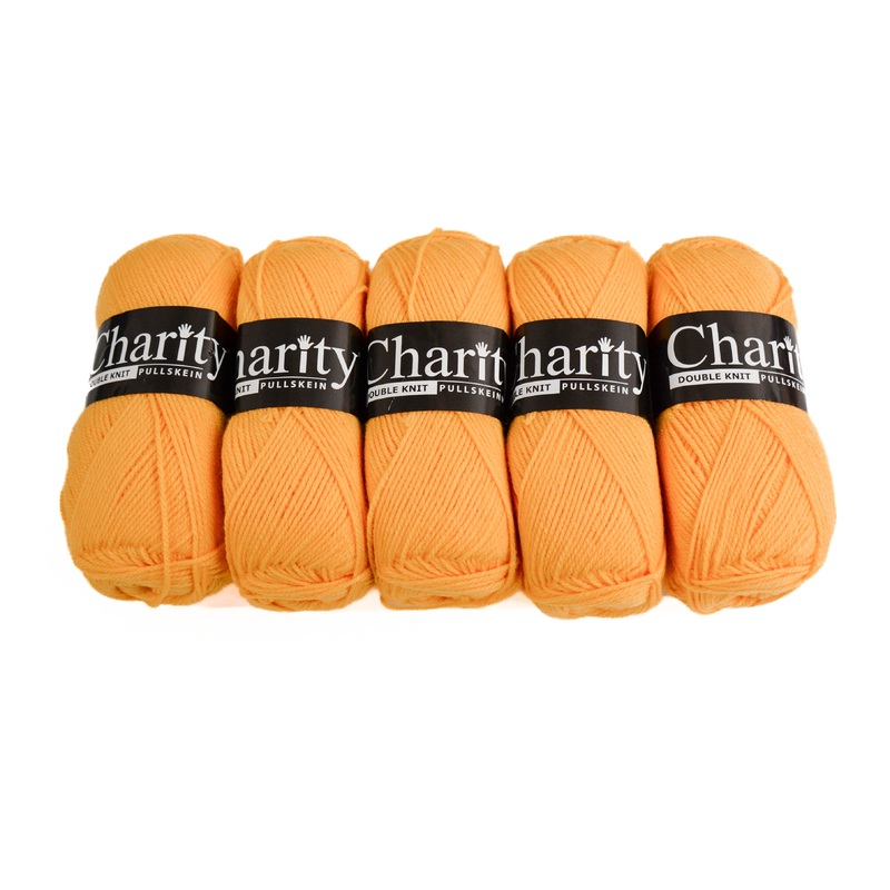 100G 5Pc Charity Dk Wool Sunshine 1000000273618