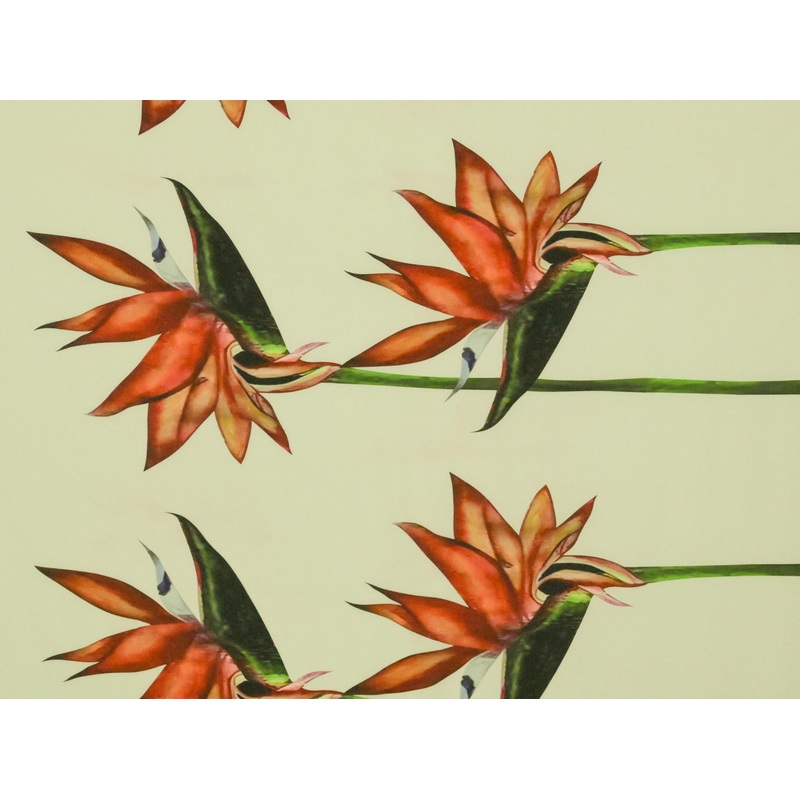 147cm Trendy Printed Super Soft DR2004-86 DR2004-86