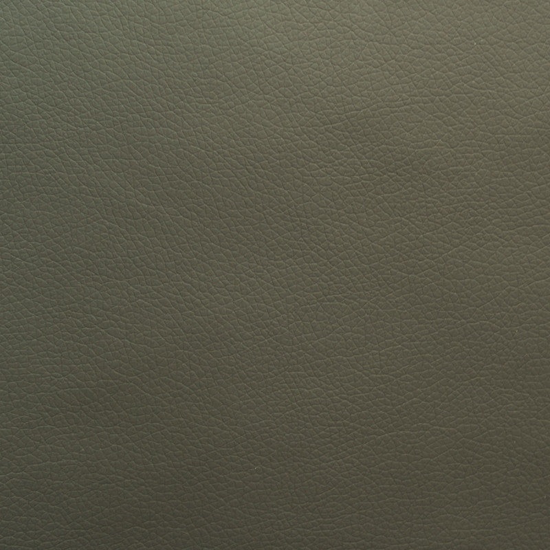 Remnant of Momentum Canter Iron Faux Leather Gray Vinyl Order Product 1