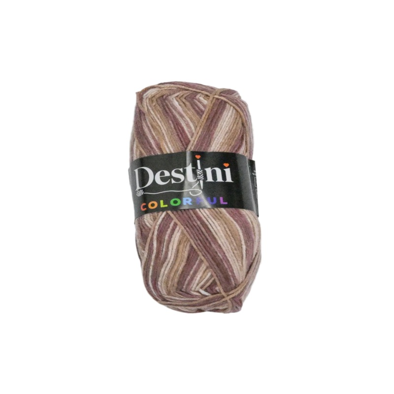 100g Destini Double Knit Colourful 8684953102305