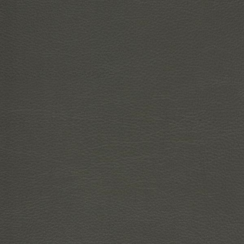 Remnant of Mayer Caressa Pewter Gray Upholstery Vinyl Order Product 1