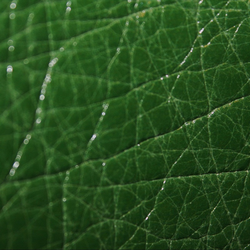 Textured Vinyl – Green Fabric by the Yard