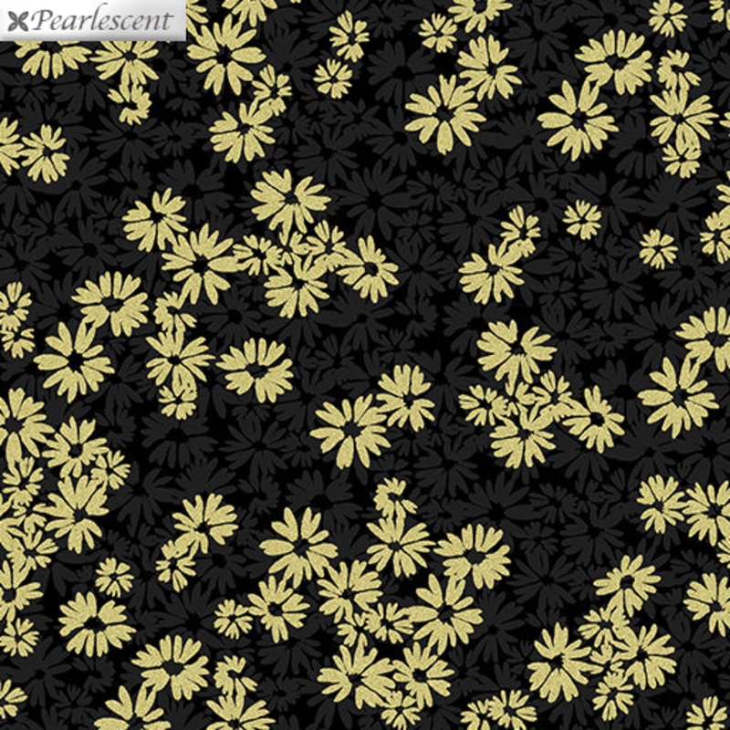 Shimmer & Shine Black – (1)