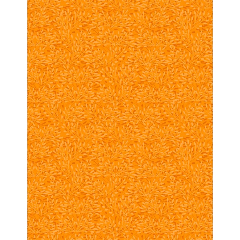 Whimsy Citrus
