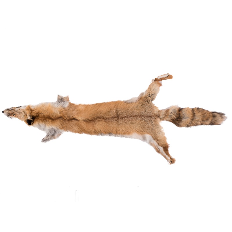Full Red Fox Fur Hide