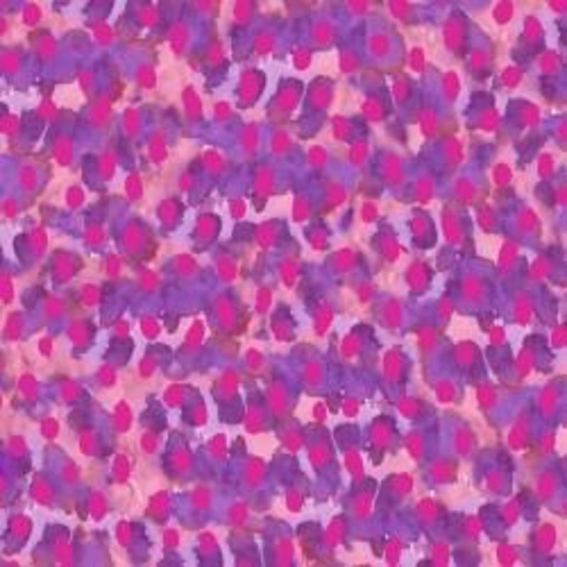 Bright Birds Pink
