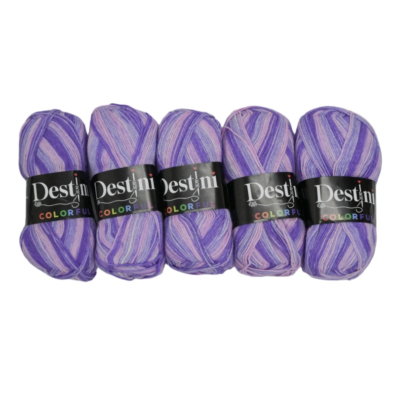 100g 5pc Destini Double Knit Colourful 8684953101988
