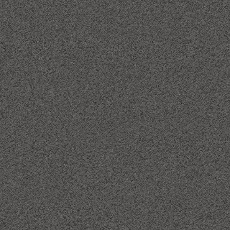 Remnant of Carnegie Hide Color 19 Gray Upholstery Vinyl Order Product 1
