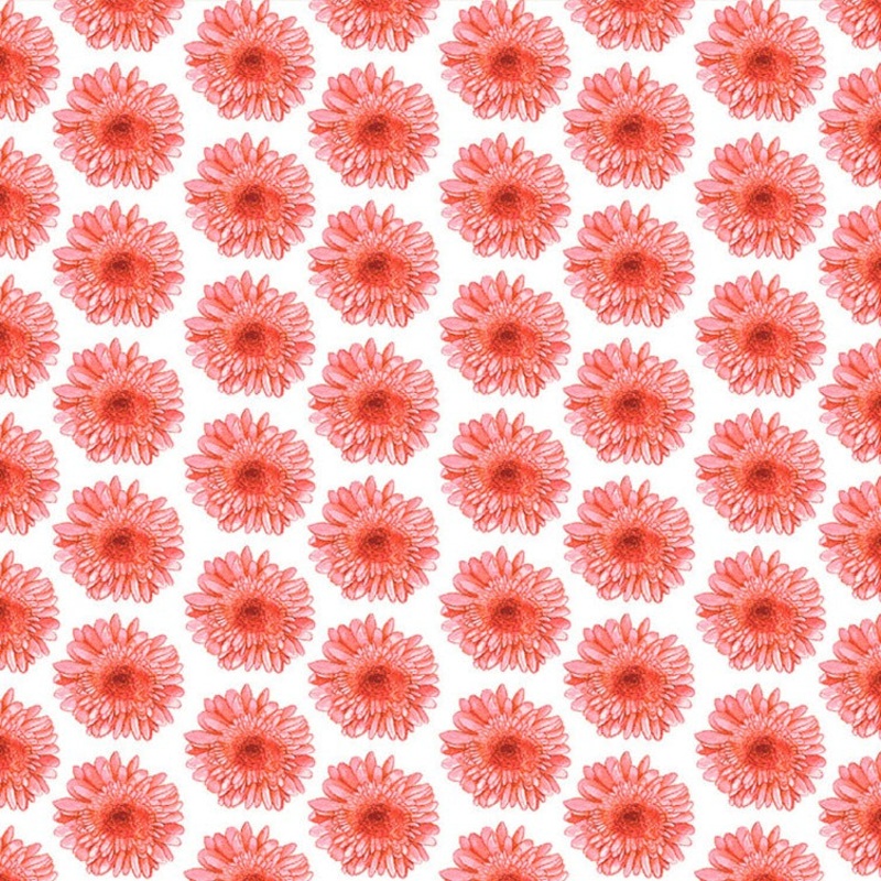 Spring Dreams / Mod Daisy in White