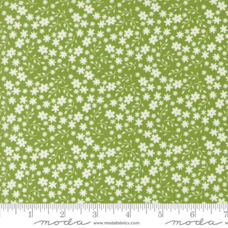 Raspberry Summer  –  537693-18 Fresh Grass