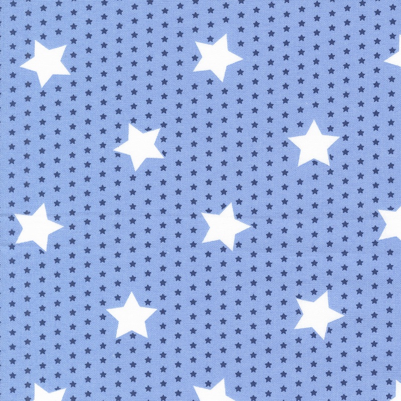 Star Spangled / Salute Stars in Shining Sea