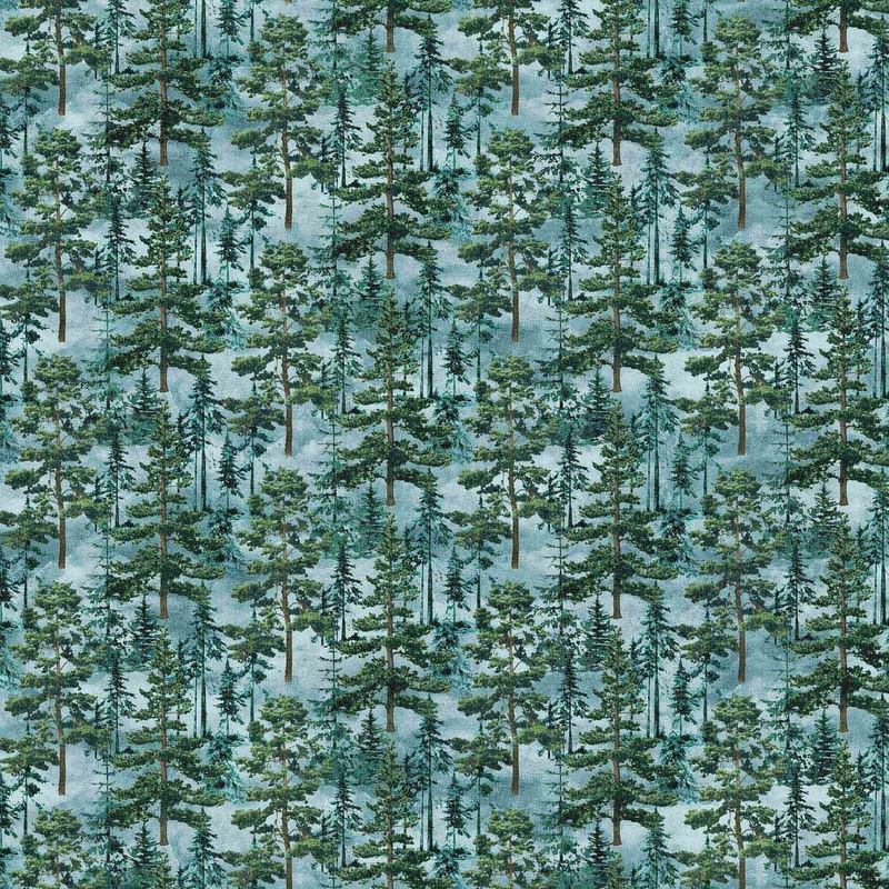 Eagle Pass / Packed Trees