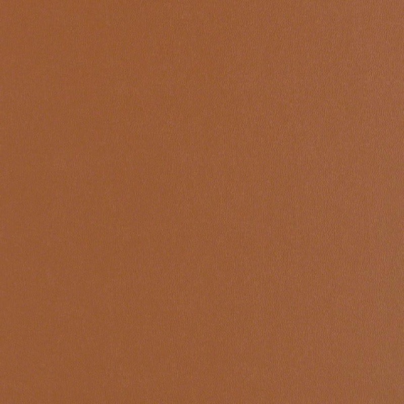 Remnant of CF Stinson Rally Cinnabar Upholstery Vinyl Order Product 1