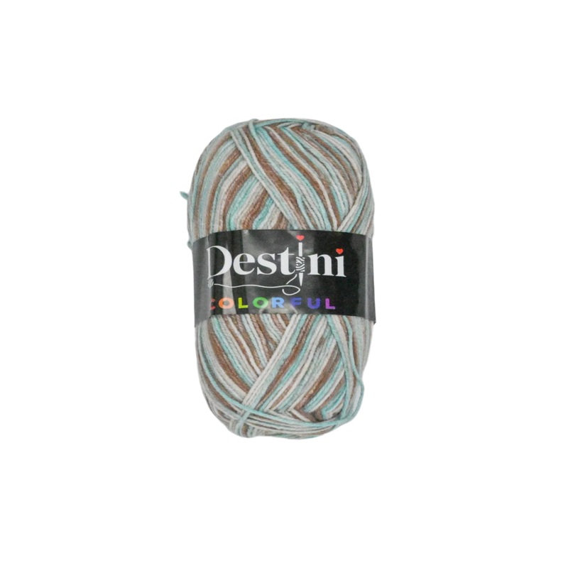 100g Destini Double Knit Colourful 8684953102343