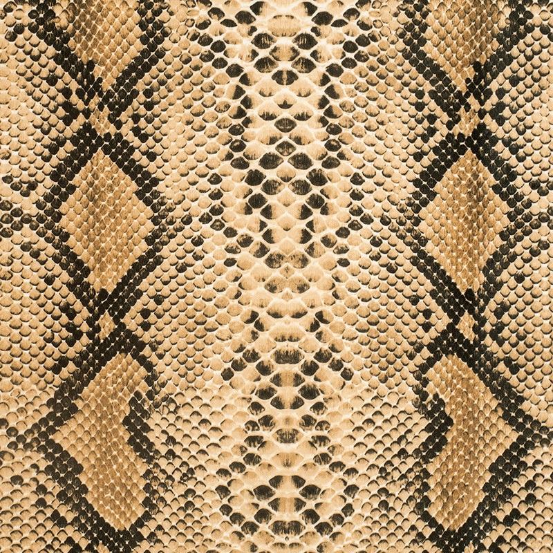 Anaconda Printed Micro-Polyester and Cotton