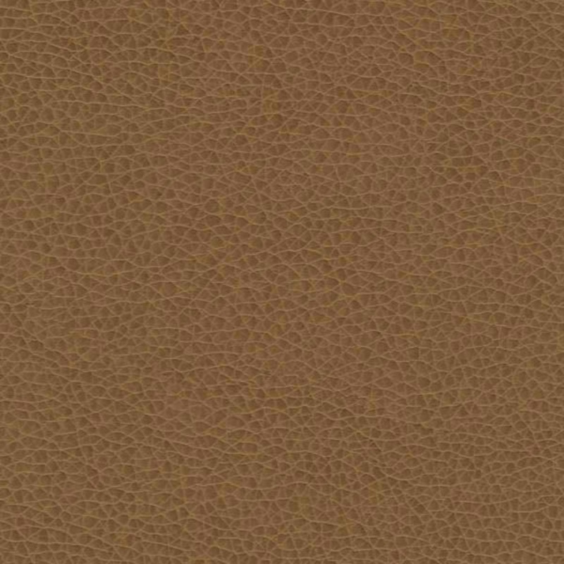 Remnant of Paul Brayton Tolstoy Hazel Upholstery Vinyl Order Product 1