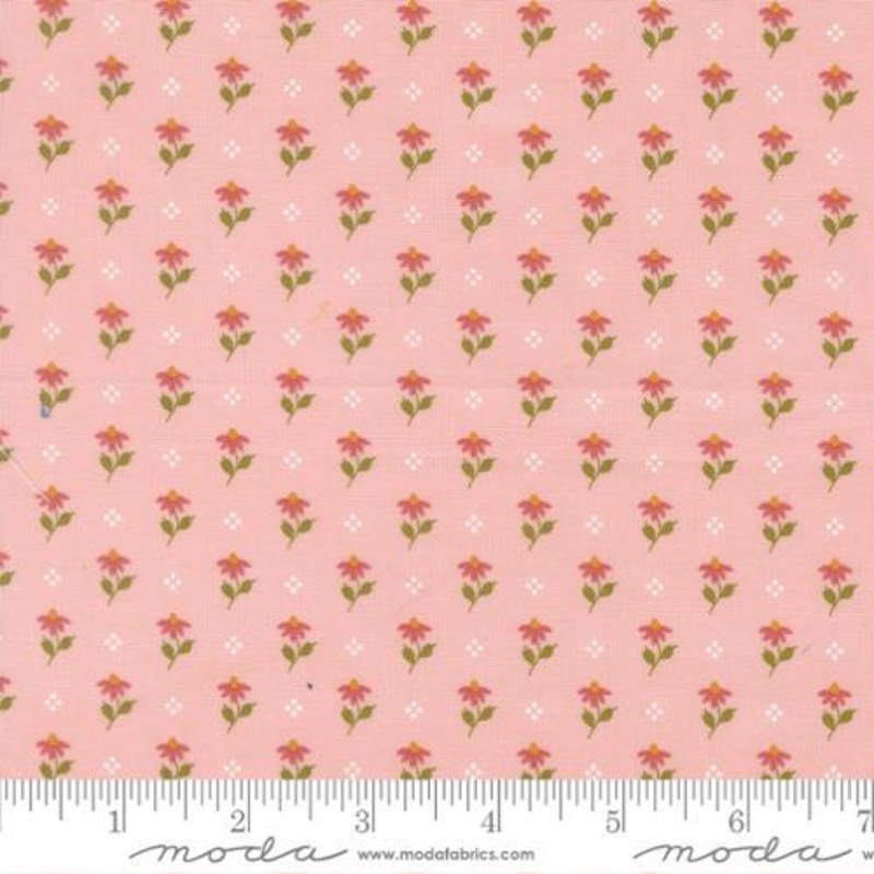 Wild Honey Carnation – 5252-12 Bumbling Posies Small Floral