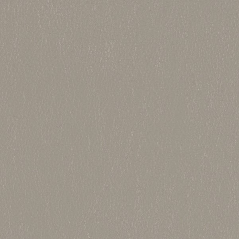 Remnant of Mayer Caressa Dove Gray Upholstery Vinyl Order Product 1