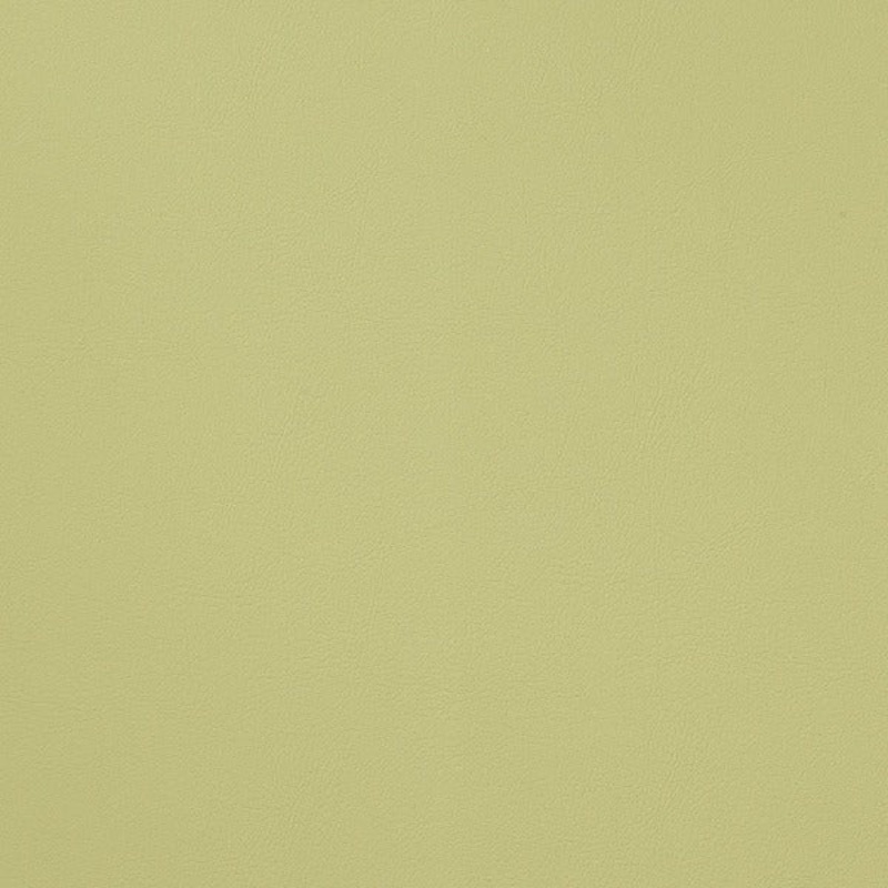 Remnant of CF Stinson Alamo Spring Upholstery Vinyl Order Product 1