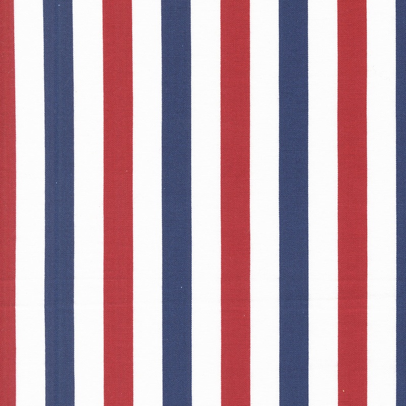 Star Spangled / Flag Stripe in Patriotic