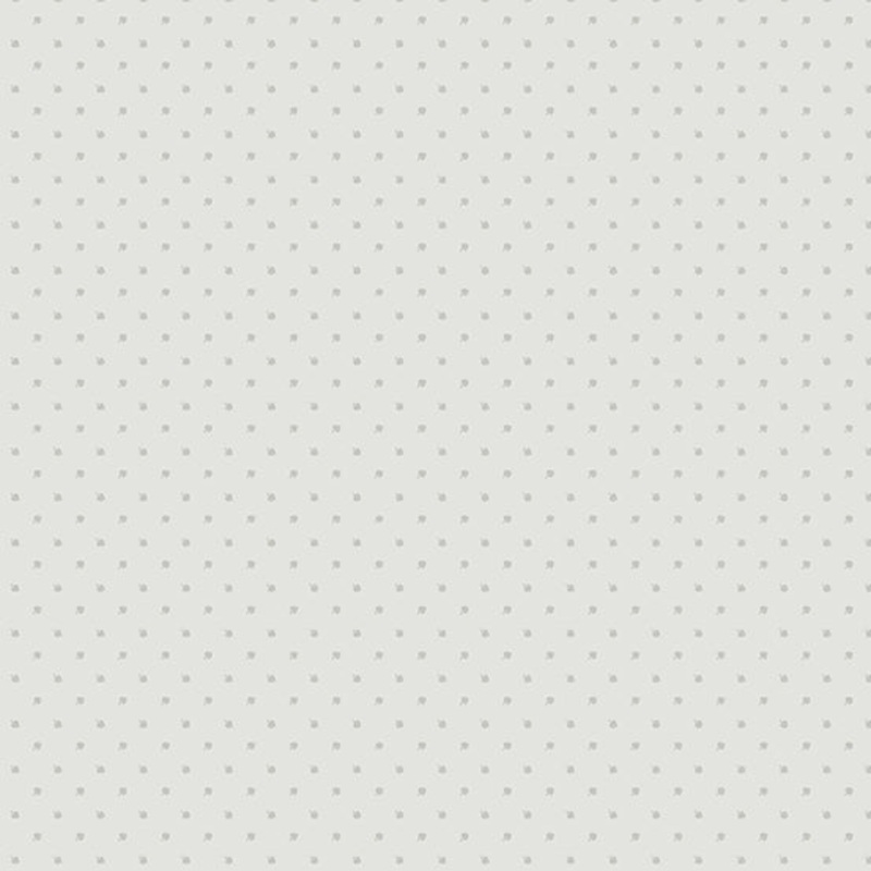 Misty Morning Aluminum