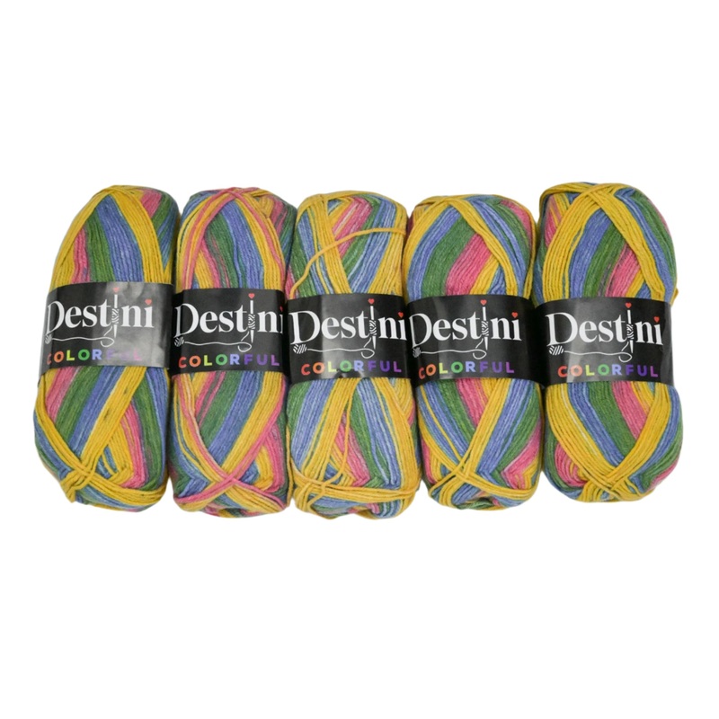 100g 5pc Destini Double Knit Colourful 8684953101964