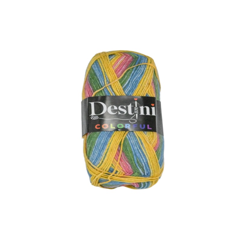 100g Destini Double Knit Colourful 8684953102275