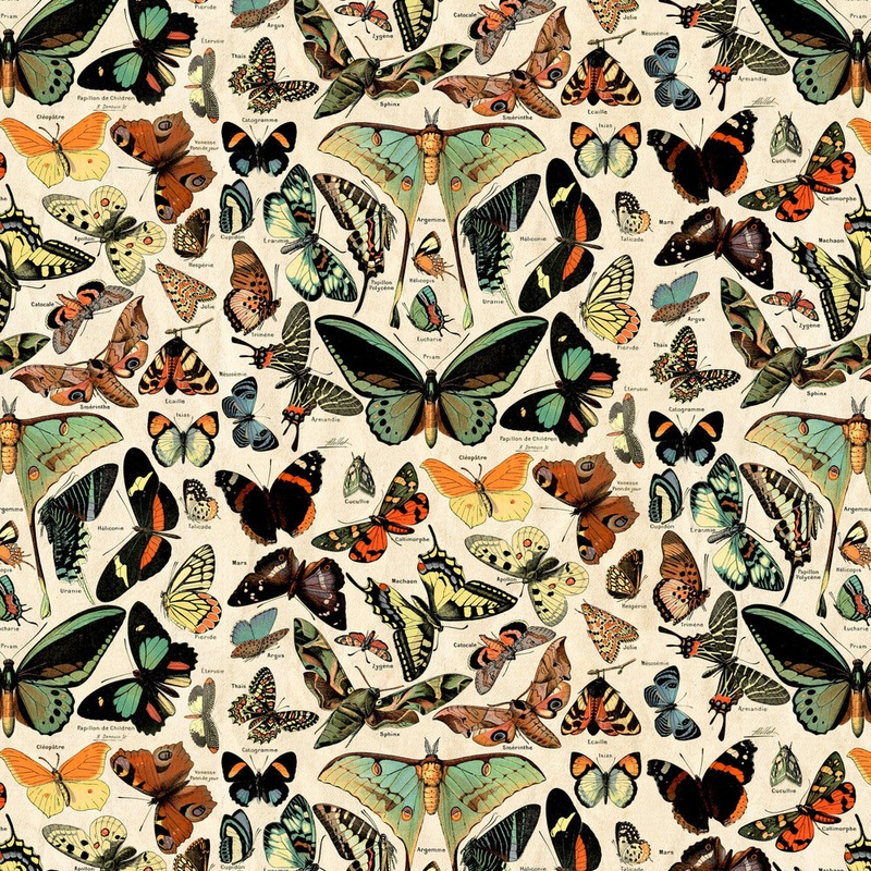 Teal Palette / Butterflies