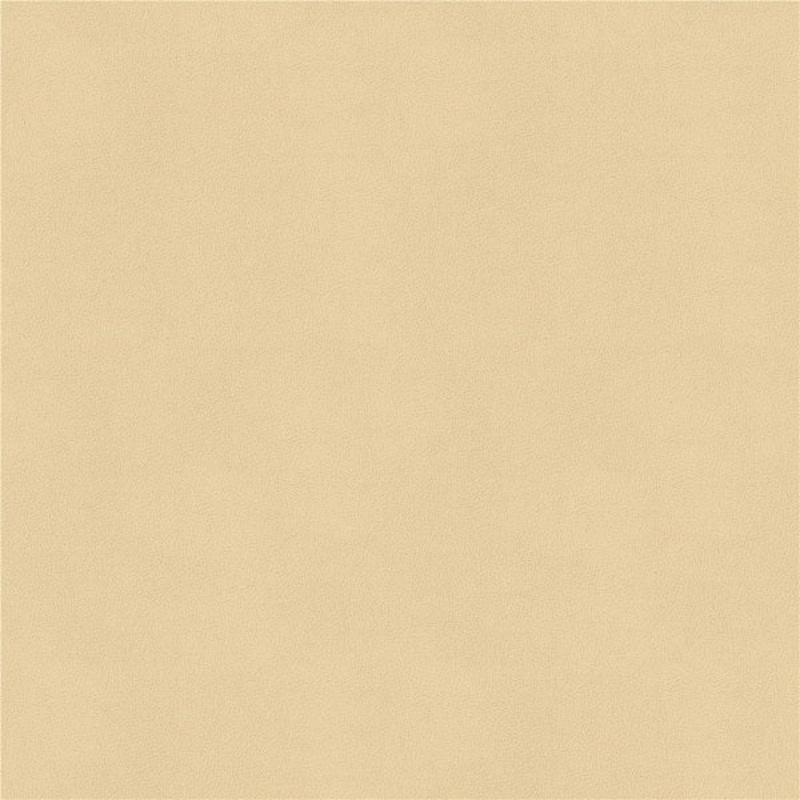 Remnant of Architex Pelle Healy Upholstery Vinyl Order Product 1