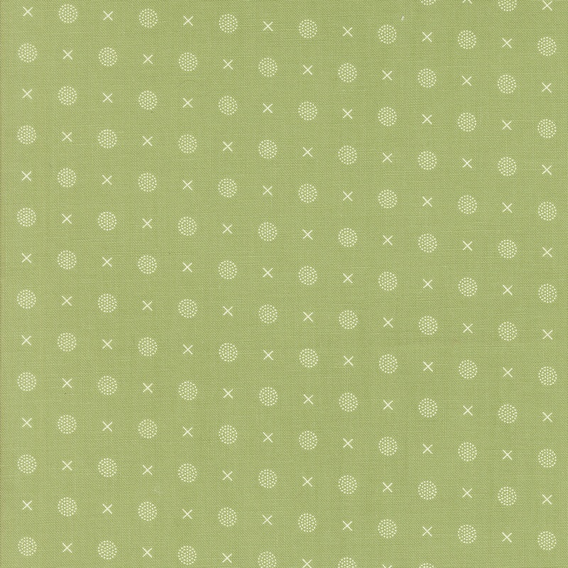 Abloom / XO in Cucumber