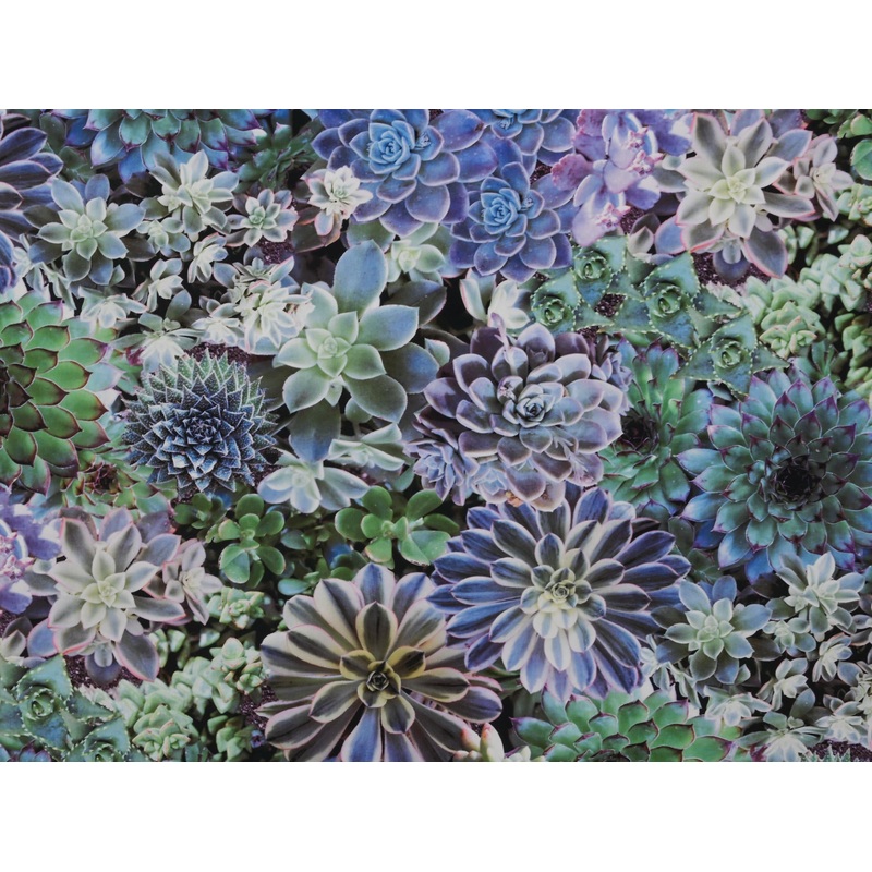150cm Printed Water Repellent Canvas OD226-14 OD226-14
