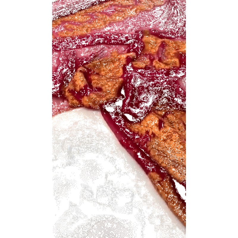 Italian Floral and Dotted Panel Clip Silk Chiffon – Maroon / Saffron Orange Fabric by the Panel