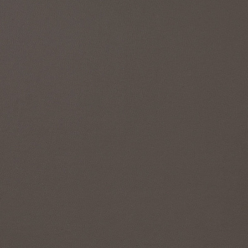 Remnant of CF Stinson Staple Tempest Upholstery Vinyl Order Product 1