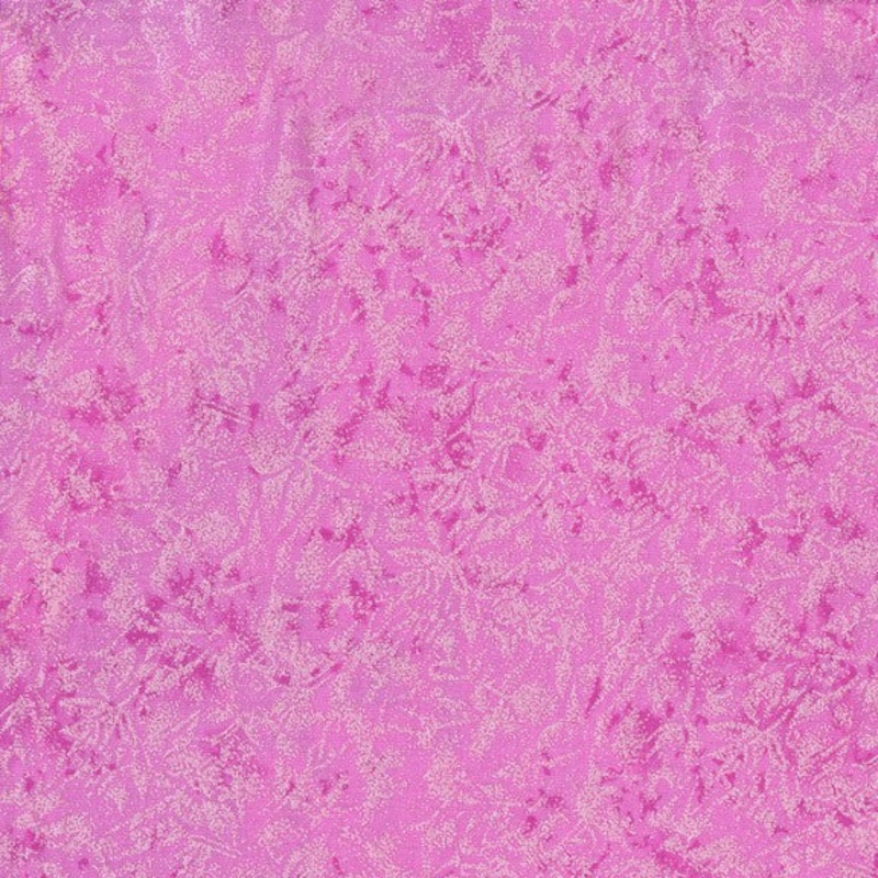 Fairy Frost Carnation