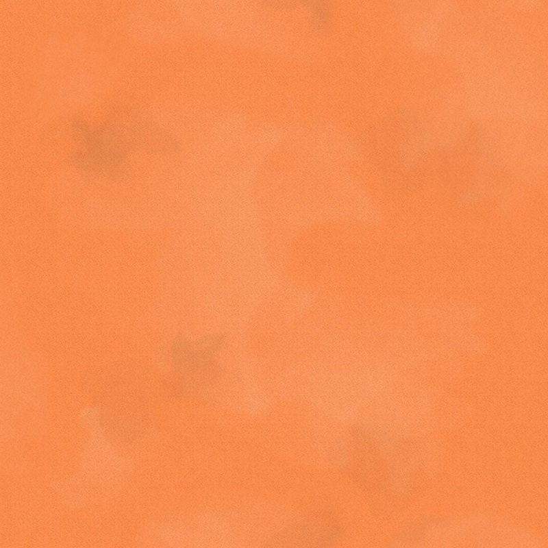 Colorstock / Brushstroke in Coral