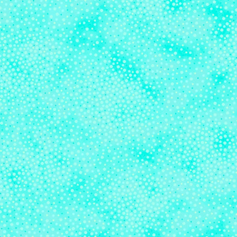 Spotsy / Aqua