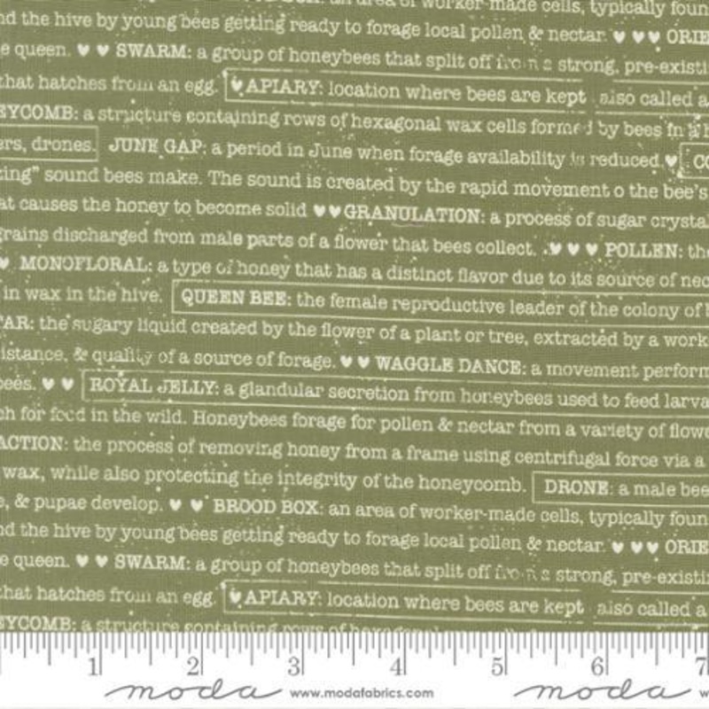 Wild Honey Fern – 5254-15 Buzz Words Text and Words