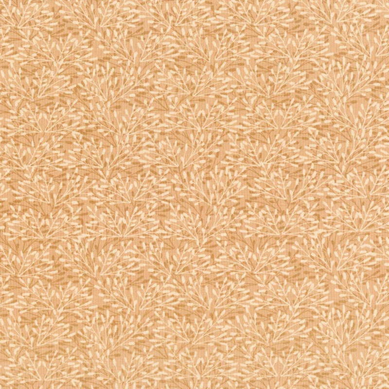 Whimsy Tan – (2)