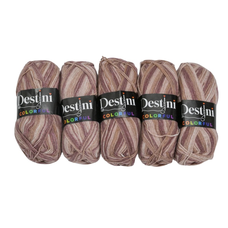 100g 5pc Destini Double Knit Colourful 8684953101995