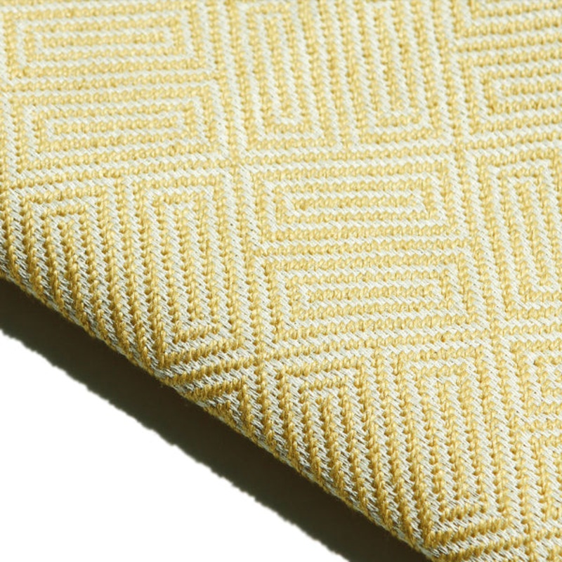 Remnant of Joseph Noble Iconoclast Karpos Upholstery Fabric Order Product 1