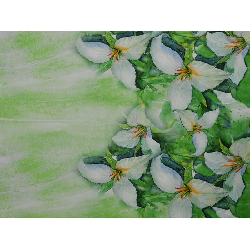 147cm Trendy Printed Super Soft DR2004-61 DR2004-61